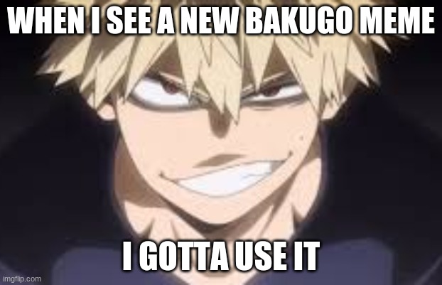 bakugo | WHEN I SEE A NEW BAKUGO MEME; I GOTTA USE IT | image tagged in bakugo | made w/ Imgflip meme maker