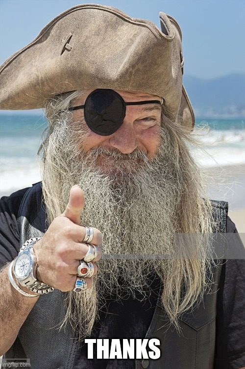 PIRATE THUMBS UP | THANKS | image tagged in pirate thumbs up | made w/ Imgflip meme maker