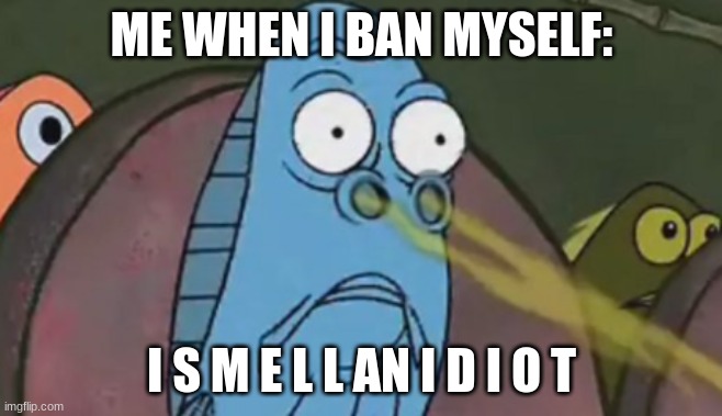 banned myself from commenting | ME WHEN I BAN MYSELF:; I S M E L L AN I D I O T | image tagged in i smell x | made w/ Imgflip meme maker