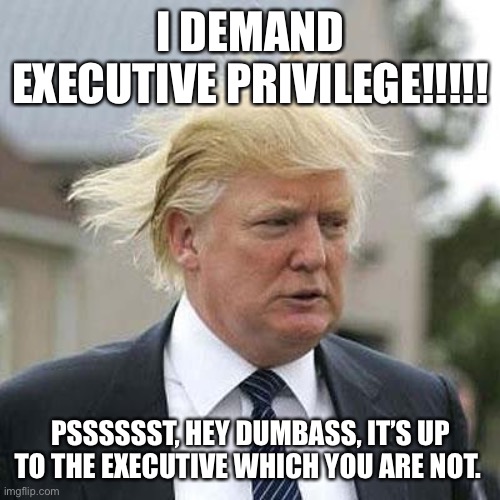 Donald Trump | I DEMAND EXECUTIVE PRIVILEGE!!!!! PSSSSSST, HEY DUMBASS, IT’S UP TO THE EXECUTIVE WHICH YOU ARE NOT. | image tagged in donald trump | made w/ Imgflip meme maker