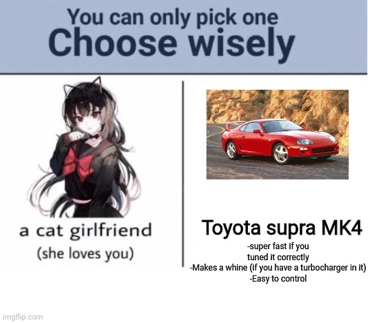 Choose wisely | -super fast if you tuned it correctly
-Makes a whine (if you have a turbocharger in it)
-Easy to control; Toyota supra MK4 | image tagged in choose wisely | made w/ Imgflip meme maker