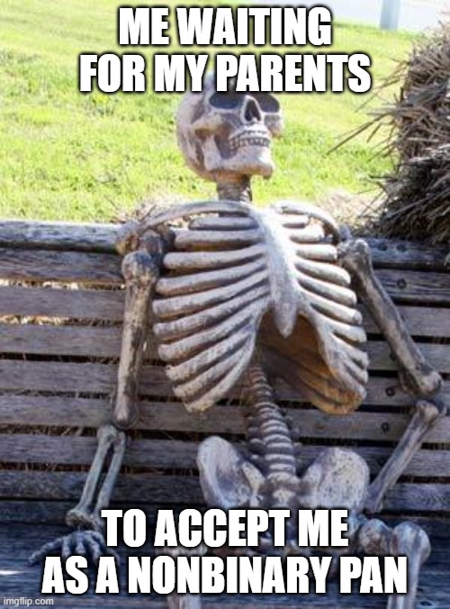 Waiting Skeleton Meme |  ME WAITING FOR MY PARENTS; TO ACCEPT ME AS A NONBINARY PAN | image tagged in memes,waiting skeleton | made w/ Imgflip meme maker