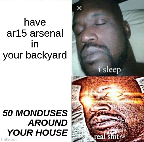 Sleeping Shaq | have ar15 arsenal in your backyard; 50 MONDUSES AROUND YOUR HOUSE | image tagged in memes,sleeping shaq | made w/ Imgflip meme maker