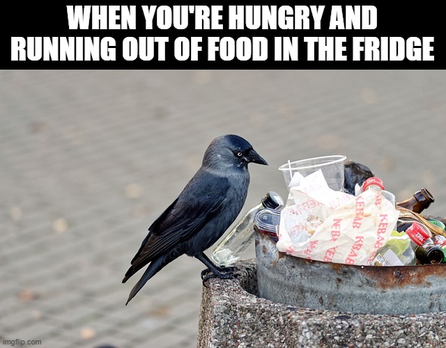 WHEN YOU'RE HUNGRY AND RUNNING OUT OF FOOD IN THE FRIDGE | made w/ Imgflip meme maker