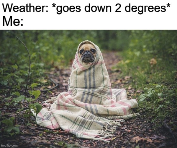 Weather: *goes down 2 degrees*; Me: | made w/ Imgflip meme maker