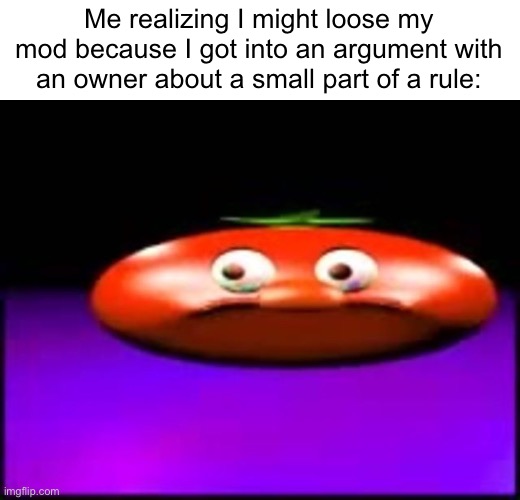 YEP- | Me realizing I might loose my mod because I got into an argument with an owner about a small part of a rule: | image tagged in cynical tomato | made w/ Imgflip meme maker