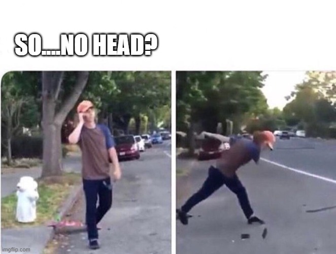 So No Head | SO....NO HEAD? | image tagged in so no head | made w/ Imgflip meme maker