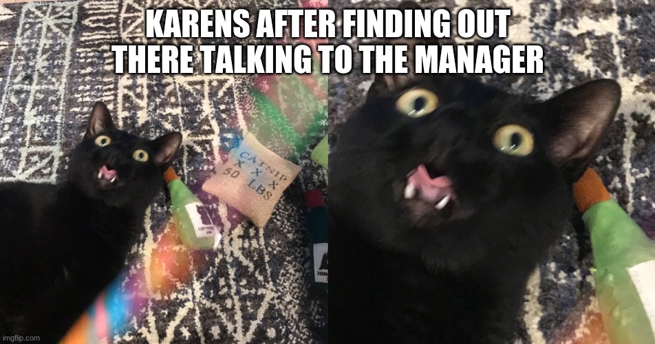 KARENS AFTER FINDING OUT THERE TALKING TO THE MANAGER | made w/ Imgflip meme maker