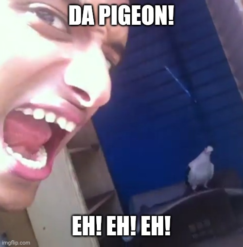 DA PIGEON! EH! EH! EH! | made w/ Imgflip meme maker