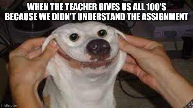 you didn't understand the assignment meme