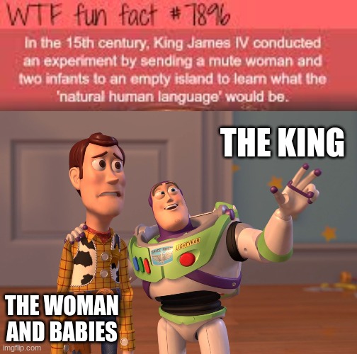 yeah i did this | THE KING; THE WOMAN AND BABIES | image tagged in wtf fact,memes,x x everywhere | made w/ Imgflip meme maker