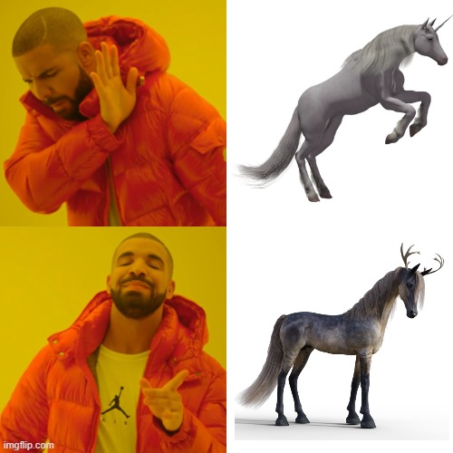 What is that majestic beast??? I've gotta ride one of those. | image tagged in memes,drake hotline bling | made w/ Imgflip meme maker