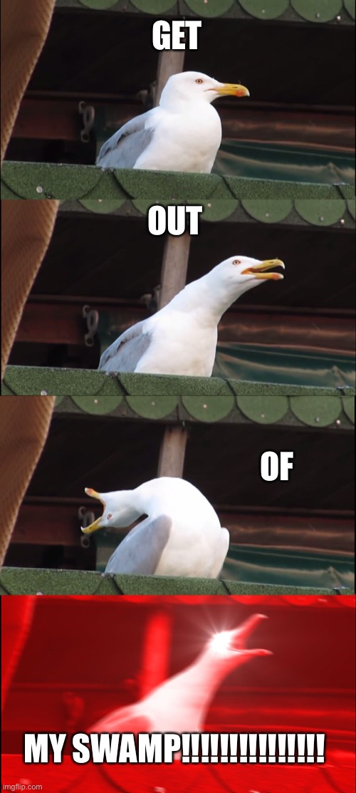 Shrek | GET; OUT; OF; MY SWAMP!!!!!!!!!!!!!!! | image tagged in memes,inhaling seagull | made w/ Imgflip meme maker