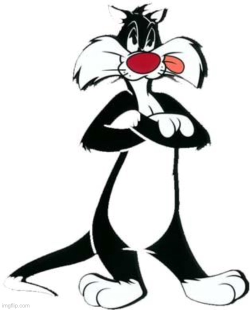 Sylvester the Cat | image tagged in sylvester the cat | made w/ Imgflip meme maker