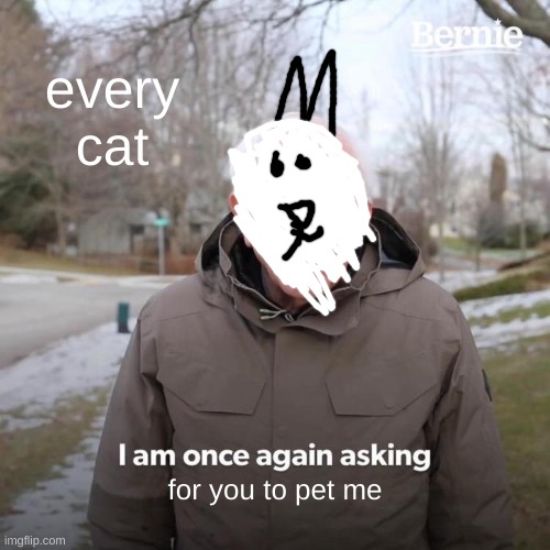 Cats Be Like | every cat; for you to pet me | image tagged in memes,bernie i am once again asking for your support | made w/ Imgflip meme maker