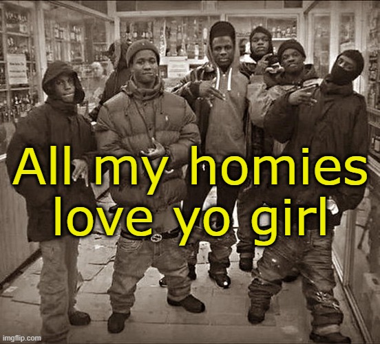All My Homies Hate | All my homies love yo girl | image tagged in all my homies hate | made w/ Imgflip meme maker