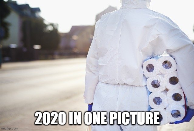 2020 IN ONE PICTURE | made w/ Imgflip meme maker