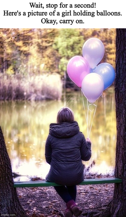 Wait, stop for a second!
Here's a picture of a girl holding balloons.
Okay, carry on. | made w/ Imgflip meme maker