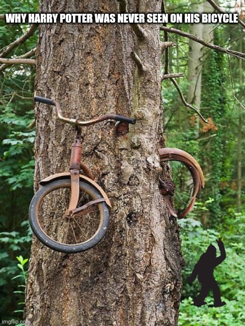 Harry Potter's Bicycle | WHY HARRY POTTER WAS NEVER SEEN ON HIS BICYCLE | image tagged in harry potter's bicycle,harry potter meme,bike meme,tree memes,mountain bike memes,big foot memes | made w/ Imgflip meme maker