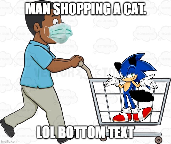 Shopping Cart |  MAN SHOPPING A CAT. LOL BOTTOM TEXT | image tagged in shopping cart,cats,memes | made w/ Imgflip meme maker