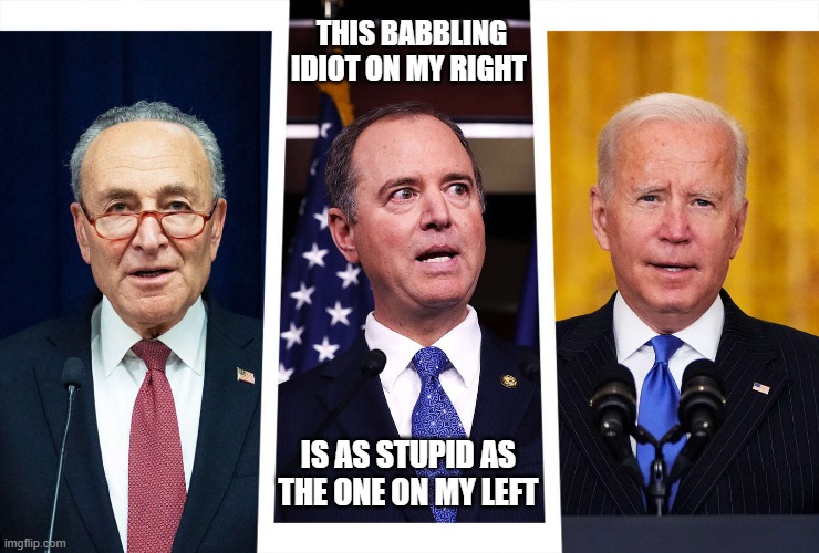 the three stupids | THIS BABBLING IDIOT ON MY RIGHT; IS AS STUPID AS THE ONE ON MY LEFT | image tagged in joe biden,chuck schumer,adam schiff,3 idiots | made w/ Imgflip meme maker
