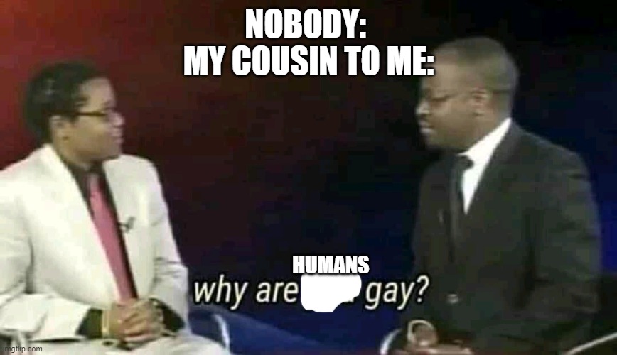 im the perfect person to ask and we always fight right after he asks. | NOBODY: 
MY COUSIN TO ME:; HUMANS | image tagged in why are you gay | made w/ Imgflip meme maker