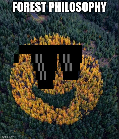 see no evil | FOREST PHILOSOPHY | image tagged in tree smile | made w/ Imgflip meme maker