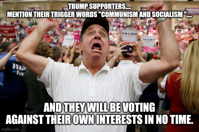 Trump suporters | TRUMP SUPPORTERS....
MENTION THEIR TRIGGER WORDS "COMMUNISM AND SOCIALISM ".... AND THEY WILL BE VOTING AGAINST THEIR OWN INTERESTS IN NO TIME. | image tagged in trump supporter,maga,conservatives,republican,liberals,trump | made w/ Imgflip meme maker