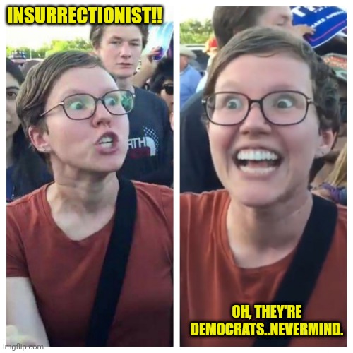 Social Justice Warrior Hypocrisy | INSURRECTIONIST!! OH, THEY'RE DEMOCRATS..NEVERMIND. | image tagged in social justice warrior hypocrisy | made w/ Imgflip meme maker