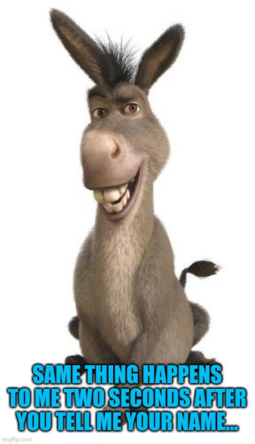 Donkey from Shrek | SAME THING HAPPENS TO ME TWO SECONDS AFTER YOU TELL ME YOUR NAME... | image tagged in donkey from shrek | made w/ Imgflip meme maker