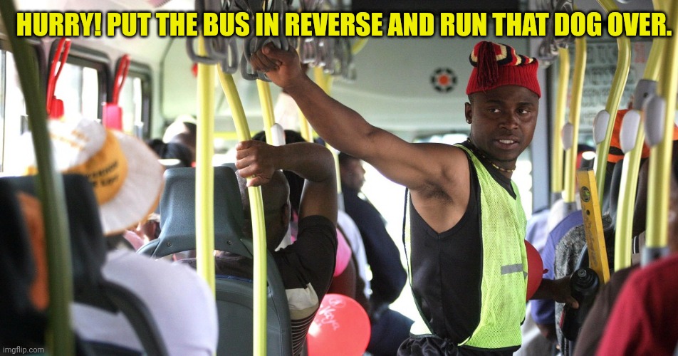 HURRY! PUT THE BUS IN REVERSE AND RUN THAT DOG OVER. | made w/ Imgflip meme maker
