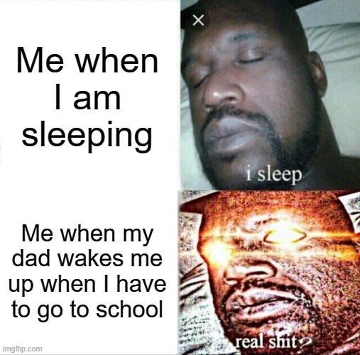 School be like | Me when I am sleeping; Me when my dad wakes me up when I have to go to school | image tagged in memes,sleeping shaq | made w/ Imgflip meme maker