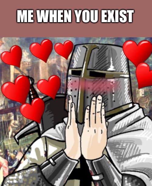 Wholesome crusader | ME WHEN YOU EXIST | image tagged in wholesome crusader | made w/ Imgflip meme maker