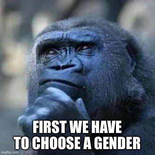 Thinking ape | FIRST WE HAVE TO CHOOSE A GENDER | image tagged in thinking ape | made w/ Imgflip meme maker