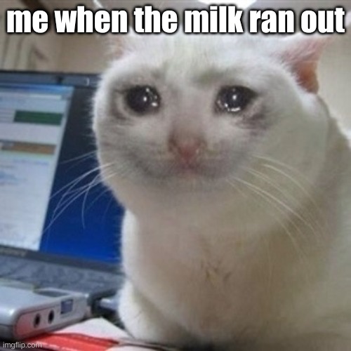 but then start using the.. | me when the milk ran out | image tagged in crying cat | made w/ Imgflip meme maker