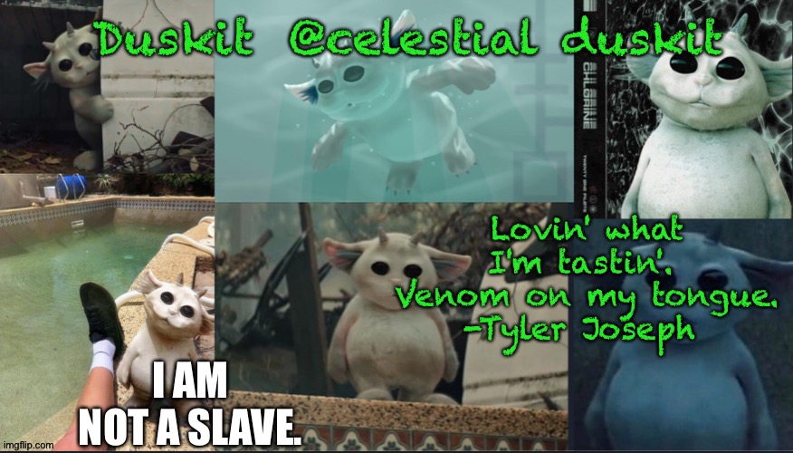 Duskit’s Ned temp | I AM NOT A SLAVE. | image tagged in duskit s ned temp | made w/ Imgflip meme maker