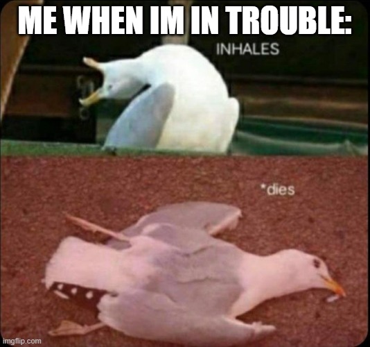 trouble | ME WHEN IM IN TROUBLE: | image tagged in inhales dies bird | made w/ Imgflip meme maker