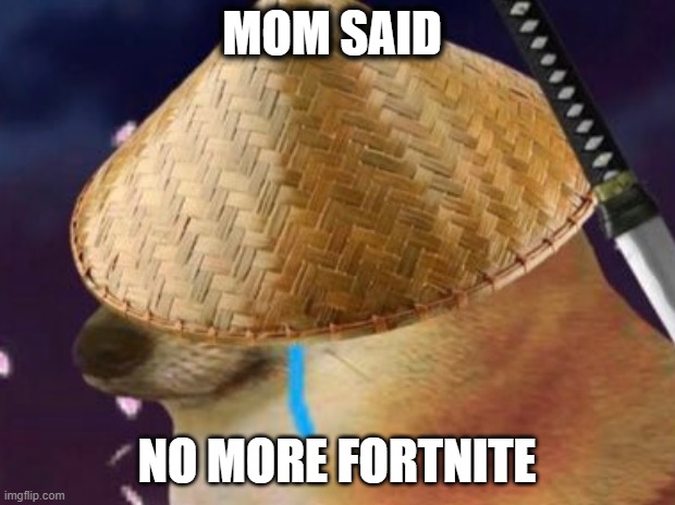 doge | MOM SAID; NO MORE FORTNITE | image tagged in doge | made w/ Imgflip meme maker