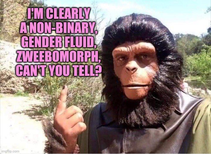 I'M CLEARLY A NON-BINARY, GENDER FLUID, ZWEEBOMORPH, CAN'T YOU TELL? | made w/ Imgflip meme maker