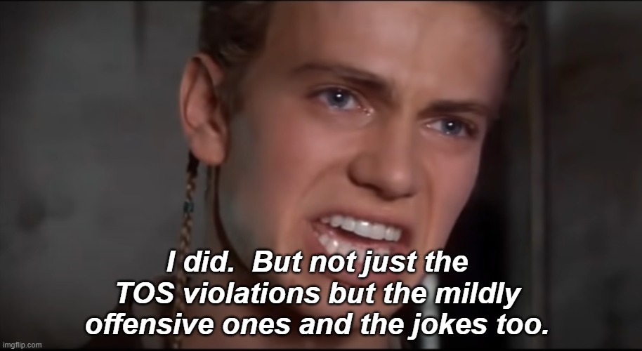 Not Just the Men but the Women and the Children Too | I did.  But not just the TOS violations but the mildly offensive ones and the jokes too. | image tagged in not just the men but the women and the children too | made w/ Imgflip meme maker