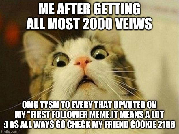 THANK YALL | ME AFTER GETTING ALL MOST 2000 VEIWS; OMG TYSM TO EVERY THAT UPVOTED ON MY "FIRST FOLLOWER MEME.IT MEANS A LOT :) AS ALL WAYS GO CHECK MY FRIEND COOKIE 2188 | image tagged in memes,scared cat | made w/ Imgflip meme maker