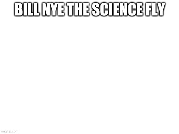 Blank White Template | BILL NYE THE SCIENCE FLY | image tagged in blank white template | made w/ Imgflip meme maker