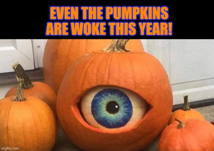 Woke Pumpkins Too | EVEN THE PUMPKINS ARE WOKE THIS YEAR! | image tagged in woke,pumpkins,halloween,decorating,halloween is coming | made w/ Imgflip meme maker