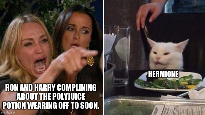 Angry lady cat | HERMIONE; RON AND HARRY COMPLINING ABOUT THE POLYJUICE POTION WEARING OFF TO SOON. | image tagged in angry lady cat,harry potter | made w/ Imgflip meme maker