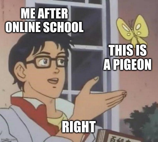 uhh this was me ater thoe | ME AFTER ONLINE SCHOOL; THIS IS A PIGEON; RIGHT | image tagged in memes,is this a pigeon | made w/ Imgflip meme maker