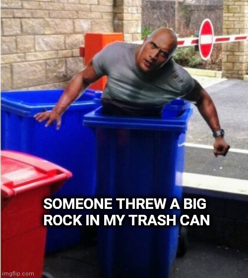 I guess his career's over | SOMEONE THREW A BIG 
ROCK IN MY TRASH CAN | image tagged in the rock,its finally over,unpopular,movies,wrestling,no more | made w/ Imgflip meme maker