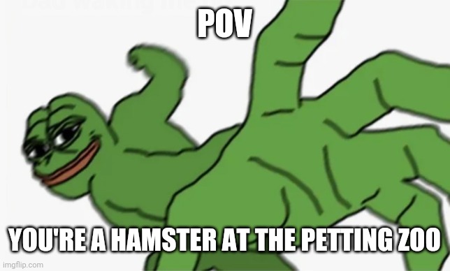 lol | POV; YOU'RE A HAMSTER AT THE PETTING ZOO | image tagged in zoo,hamster,guinea pig,pepe grab,frog,pov | made w/ Imgflip meme maker