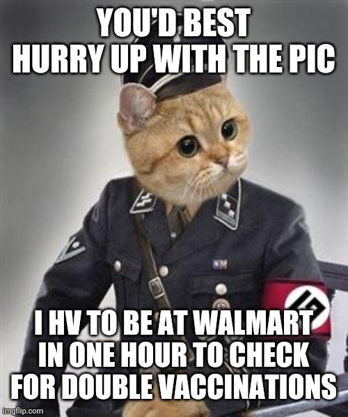 Grammar Nazi Cat |  YOU'D BEST HURRY UP WITH THE PIC; I HV TO BE AT WALMART IN ONE HOUR TO CHECK FOR DOUBLE VACCINATIONS | image tagged in grammar nazi cat | made w/ Imgflip meme maker