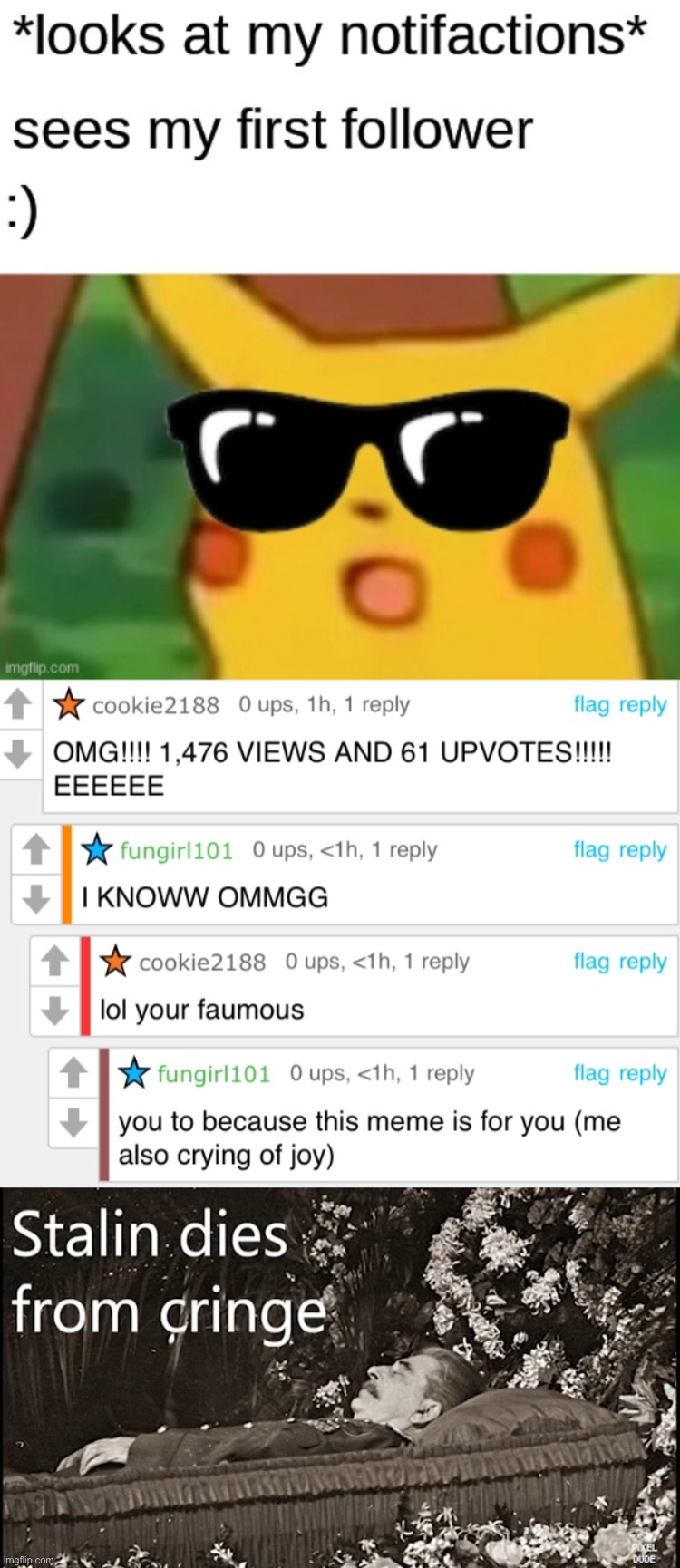 Seriously, I wonder how they got many upvotes by that meme. | image tagged in stalin dies from cringe | made w/ Imgflip meme maker