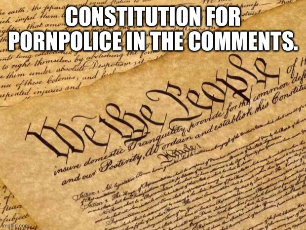 Constitution | CONSTITUTION FOR PORNPOLICE IN THE COMMENTS. | image tagged in constitution | made w/ Imgflip meme maker